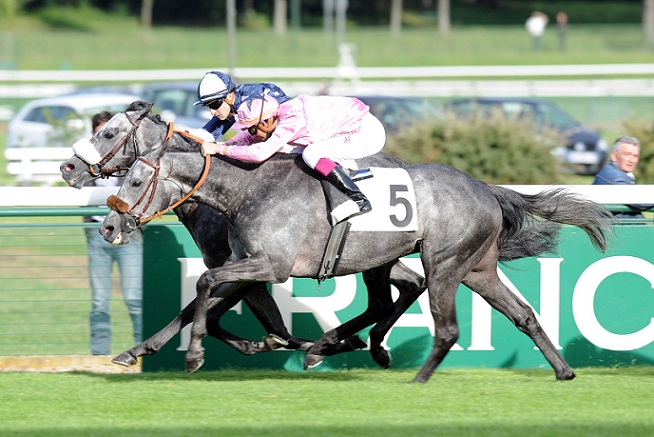 image Zenji, Marina Piccola et Tac de Boistron au top